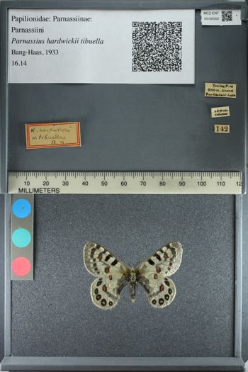 Media type: image;   Entomology 180352